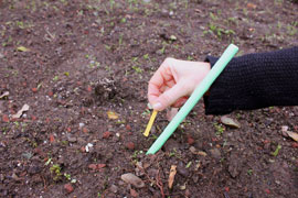 a hand dropping a strip of seed-embedded paper into a plot of soil.