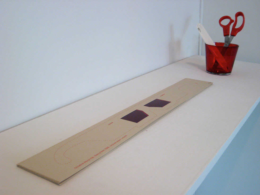 Seeing Red</em> (installation view), 2008, screenprint, rubylith, 20 x 3 inches
          / 508 x 76 mm.