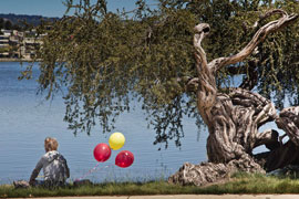 In the distance, a young man sits near the water's edge next to a gnarled tree, holding red and yellow balloons.