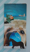 calendar collage with a golden retriever, a dolphin, a horse, a beach, a tropical fish