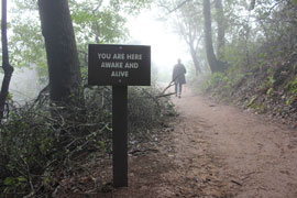 a figure walking on a wooded trail on a foggy day. there is a trail sign stating, 'you are here, awake and alive'. 