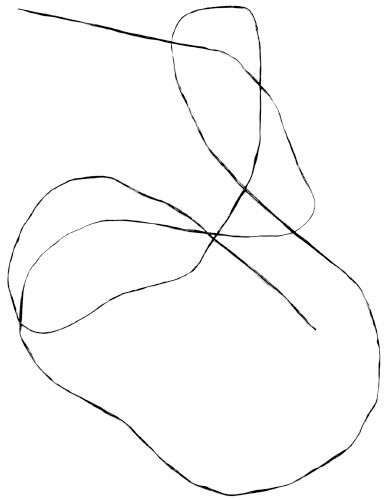 a line drawing