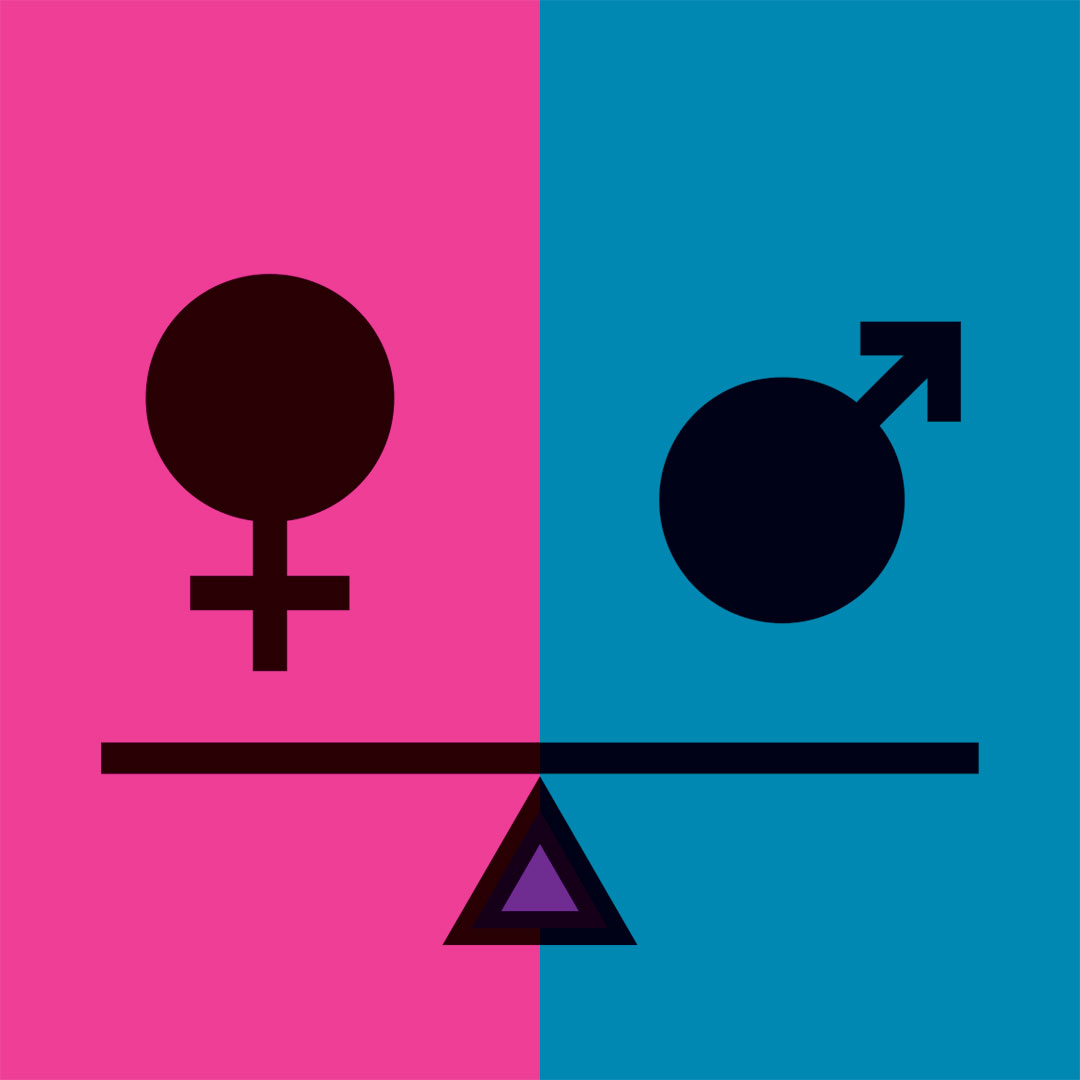 a flag with a female symbol on a pink half and a male symbol on a blue half, with a scale beneath