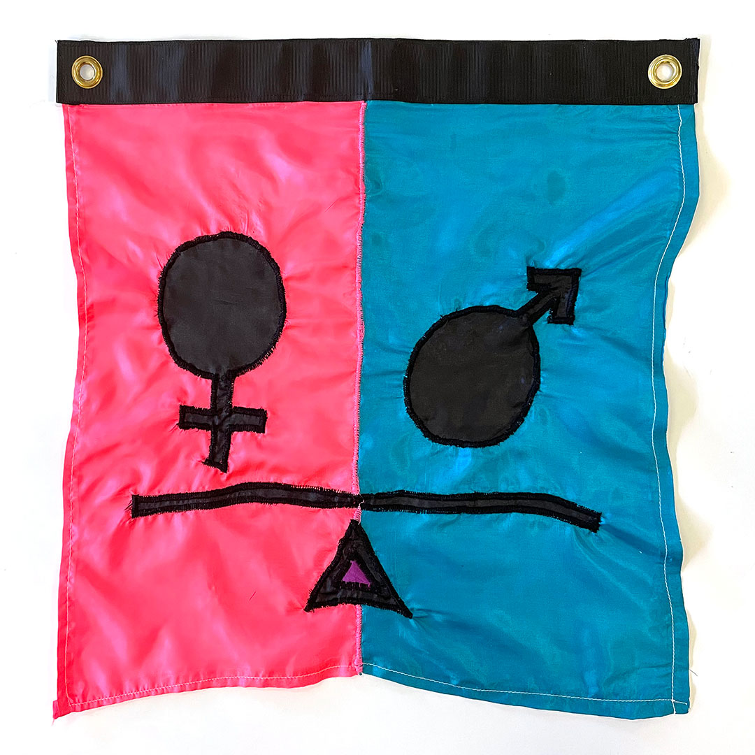 a sewn flag with a female symbol on a pink half and a male symbol on a blue half, with a scale beneath