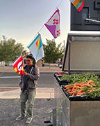 A man looking at one of the flags with vegetables in view.