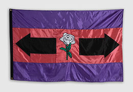 Flag sewn based on the design in the previous image.